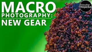 How to shoot Macro Photography and Time Lapse using Promising New Gear