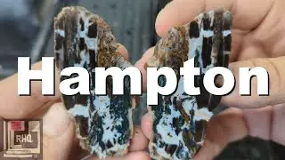 Rockhounding Hampton Butte, Central Oregon - Find and Cut Pet Wood