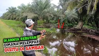 MOMEN TAHUNAN DI BULAN APRIL PART,2 !! GABUS NGAMUK // CASTING IKAN GABUS