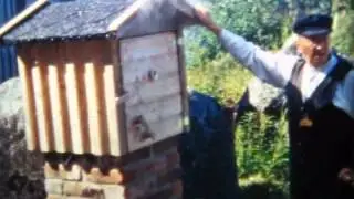 Beijar Film - Sikfiskets dag