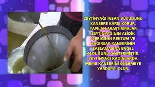 Zeytinyağının Faydaları