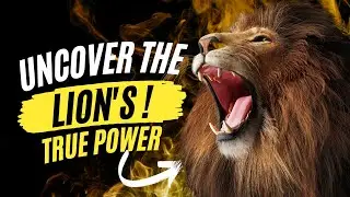 How Strong Is A Lion? - Lion Strength