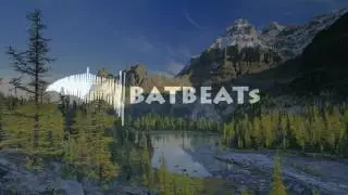 Crystal Fighters - Good Girls (Remix) - BatBeats