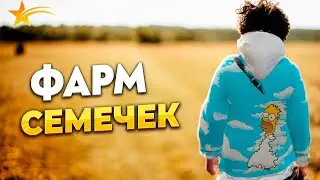 Фарм семечек на ферме ГТА 5 РП, PROMO - taxi