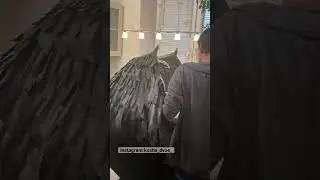 Как снимали шоу Богиня Шопинга! 