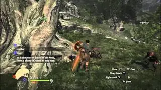 Dragon's Dogma: Dark Arisen - PC Gameplay 1080p 60FPS - Max Settings