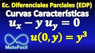 31. Homogeneous PDE, initial condition, characteristic curve method