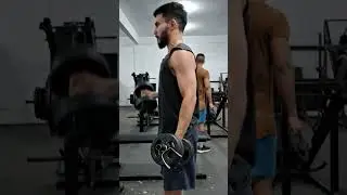 Rosca bíceps com halteres alternado em pé