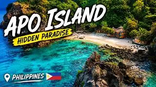 WHY PEOPLE AROUND THE WORLD FALL IN LOVE WITH APO ISLAND! 🇵🇭 🐢 🪸