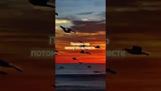 Maladoy Prince - Забыть всё (snippet 06.09.24)