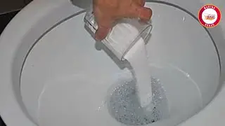 Coloca un puñado de sal en el inodoro y te sorprenderá