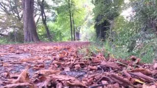 Medieval City / Duderstadt im Herbst 3