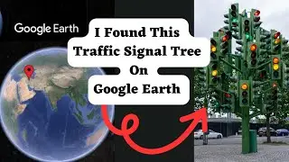 I Found This Traffic Signal 🚥🚦 Tree 🌴🎄 #traffic #googlemap #googleearth #google #youtube #subscribe