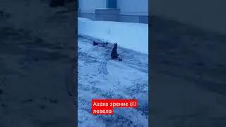 зрение 80 левела 