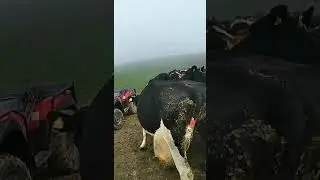 farming for life