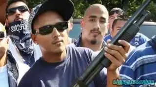 Top 8: Pandillas Peligrosas
