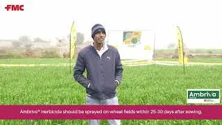 कौन कहता है कि गुल्ली डंडे को हराया नहीं जा सकता ? #FMCIndia #New #Herbicide #Wheat