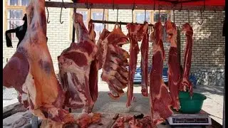 Колбасные цеха скупают мертвечину и кормят этой колбасой люде, - депутат Омурзаков