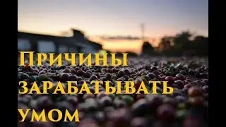 Почему ты должен думать своей головой?