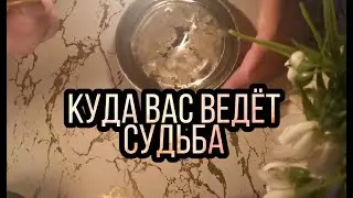 ГАДАНИЕ НА ВОСКЕ НА БУДУЩЕЕ🪔КУДА ВАС ВЕДЁТ СУДЬБА 🎭МАГИЯ ГАДАНИЯ НА ВОСКЕ И ВОДЕ