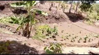 Chep pơk dơnh
