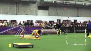Westminster2014