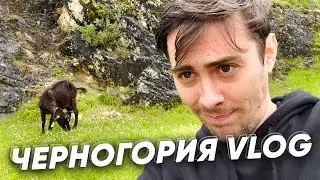 Покерная тусовка и красоты Черногории