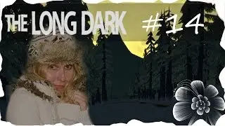 The Long Dark [Facecam] #14 Das rein-raus Spiel [Let's Play] [deutsch]