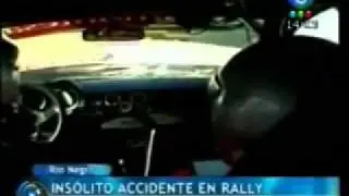 Fatal Crash.  Rally car hits Horse !!!