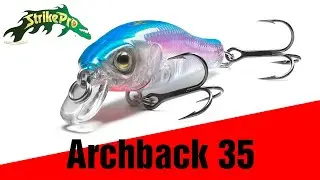 Strike Pro Archback 35