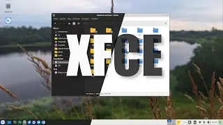 Быстрое  переключение светлого и темного режима в XFCE. Simply Linux 11