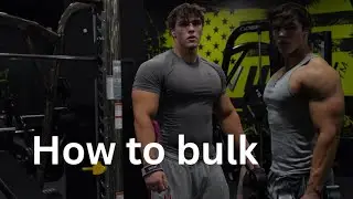 Bulking is easy — Here’s everything you need to know