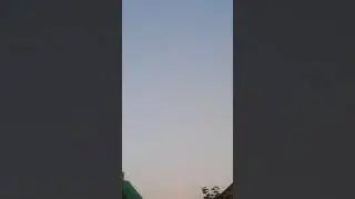 Нашествие стрекоз 😨😨😨