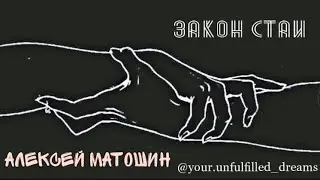 Алексей Матошин