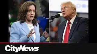 Business Report: Gas prices set to keep falling