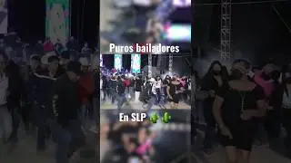 Puros Bailadores