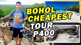 BOHOL CHEAPEST TOUR P400 // Panglao Beach // Chocolate Hills // Loboc River// Pythons // Tarshier