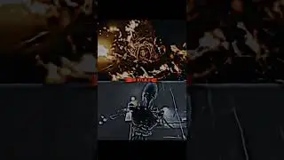 Nemesis vs Walrider