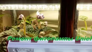 Ремонт фитолампы  Юниэль. В 2 раза ярче!