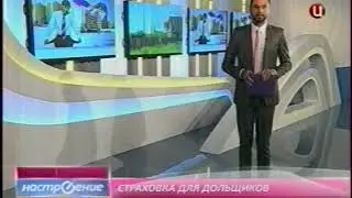 СТРАХОВКА ДЛЯ ДОЛЬЩИКОВ С 01 01 2014