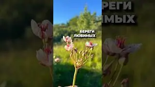 НЕ ЧИТАЙ комментарии, если у тебя все ОК #психолог #психология #психологияотношений #психологонлайн