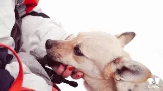 Мышонок