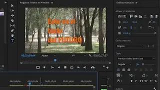 Agregar TEXTOS en Premiere, sombras y movimiento // Tutorial Express