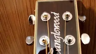 Review do violão TANGLEWOOD EVOLUTION TSF-CE-N