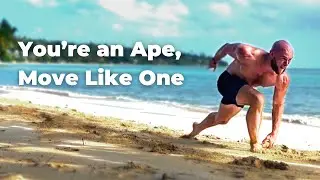 An Evolutionary Perspective of Health & Fitness