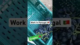 Work in Portugal 🇵🇹 || PORTUGAL WORKPERMIT 2024 @sarwaraportugal
