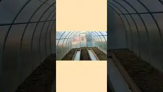 Подготовка теплицы к новому сезону #shorts #теплицазимой #теплица