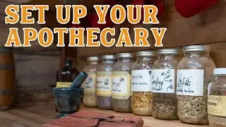 Setting Up Your Herbal Home Apothecary | Pantry Chat