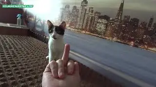 My Pussy finger attack киска нападает на палец
