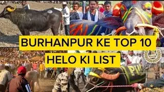 BURHANPUR KE TOP 10 HELLO KI LIST || PART - 2 || #hellokitakkar#devpandule#bullfightindia#burhanpur